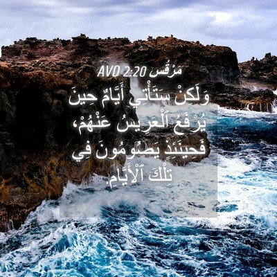 Picture 04 - مَرْقُس 2:20 AVD - وَلَكِنْ سَتَأْتِي - Bible Verse Picture