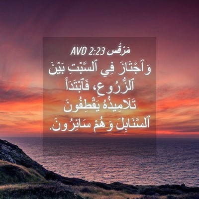 Picture 04 - مَرْقُس 2:23 AVD - وَٱجْتَازَ فِي ٱلسَّبْتِ - Bible Verse Picture