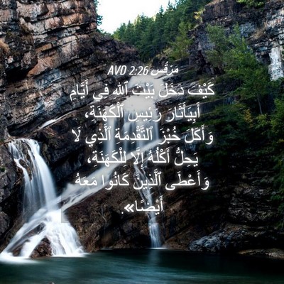 Picture 04 - مَرْقُس 2:26 AVD - كَيْفَ دَخَلَ بَيْتَ ٱللهِ - Bible Verse Picture