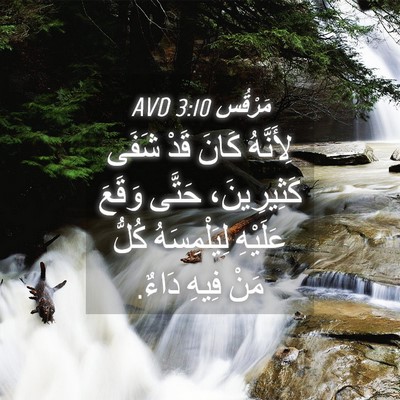 Picture 04 - مَرْقُس 3:10 AVD - لِأَنَّهُ كَانَ قَدْ شَفَى - Bible Verse Picture