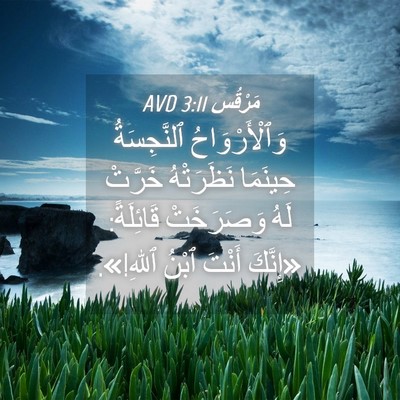 Picture 04 - مَرْقُس 3:11 AVD - وَٱلْأَرْوَاحُ - Bible Verse Picture