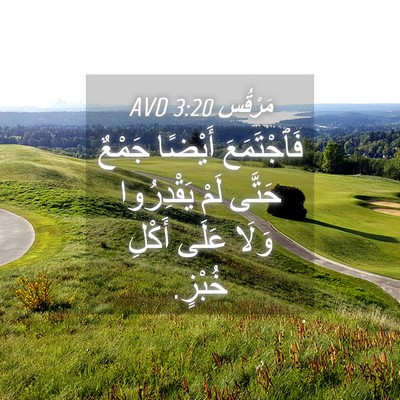 Picture 04 - مَرْقُس 3:20 AVD - فَٱجْتَمَعَ أَيْضًا - Bible Verse Picture