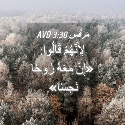 Picture 04 - مَرْقُس 3:30 AVD - لِأَنَّهُمْ قَالُوا: - Bible Verse Picture