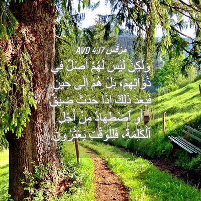 Picture 04 - مَرْقُس 4:17 AVD - وَلَكِنْ لَيْسَ لَهُمْ - Bible Verse Picture