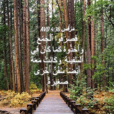 Picture 04 - مَرْقُس 4:36 AVD - فَصَرَفُوا ٱلْجَمْعَ - Bible Verse Picture