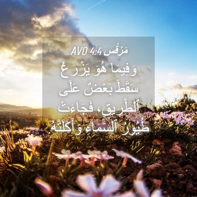 Picture 04 - مَرْقُس 4:4 AVD - وَفِيمَا هُوَ يَزْرَعُ - Bible Verse Picture
