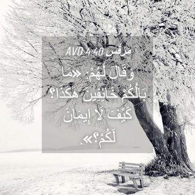 Picture 04 - مَرْقُس 4:40 AVD - وَقَالَ لَهُمْ: «مَا - Bible Verse Picture
