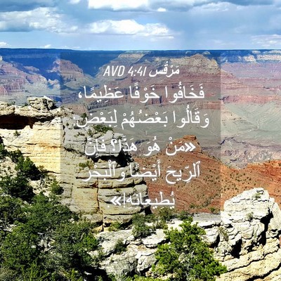 Picture 04 - مَرْقُس 4:41 AVD - فَخَافُوا خَوْفًا - Bible Verse Picture