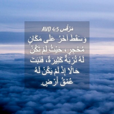 Picture 04 - مَرْقُس 4:5 AVD - وَسَقَطَ آخَرُ عَلَى - Bible Verse Picture