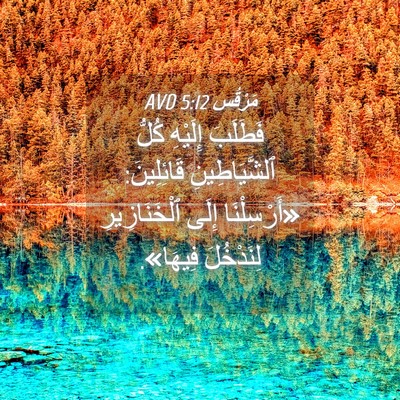 Picture 04 - مَرْقُس 5:12 AVD - فَطَلَبَ إِلَيْهِ كُلُّ - Bible Verse Picture