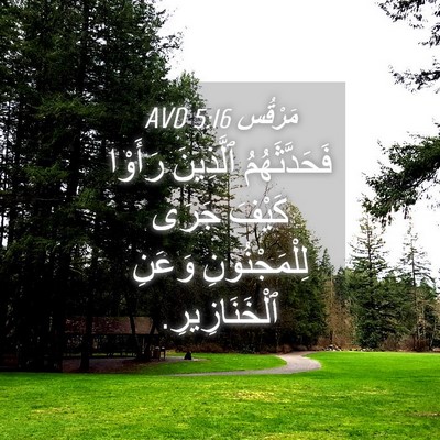 Picture 04 - مَرْقُس 5:16 AVD - فَحَدَّثَهُمُ ٱلَّذِينَ - Bible Verse Picture