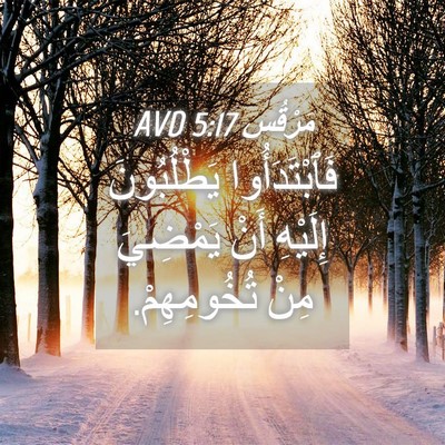Picture 04 - مَرْقُس 5:17 AVD - فَٱبْتَدَأُوا يَطْلُبُونَ - Bible Verse Picture