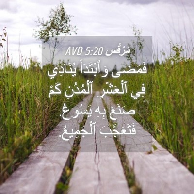 Picture 04 - مَرْقُس 5:20 AVD - فَمَضَى وَٱبْتَدَأَ - Bible Verse Picture