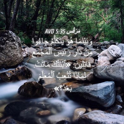 Picture 04 - مَرْقُس 5:35 AVD - وَبَيْنَمَا هُوَ - Bible Verse Picture