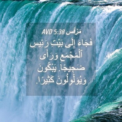 Picture 04 - مَرْقُس 5:38 AVD - فَجَاءَ إِلَى بَيْتِ - Bible Verse Picture