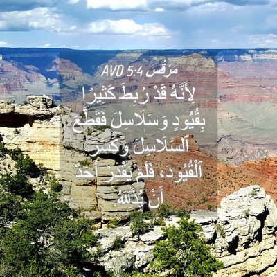 Picture 04 - مَرْقُس 5:4 AVD - لِأَنَّهُ قَدْ رُبِطَ - Bible Verse Picture