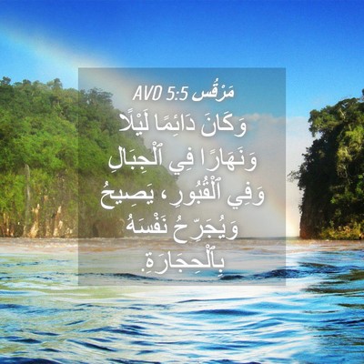 Picture 04 - مَرْقُس 5:5 AVD - وَكَانَ دَائِمًا لَيْلًا - Bible Verse Picture
