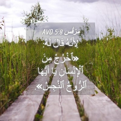 Picture 04 - مَرْقُس 5:8 AVD - لِأَنَّهُ قَالَ لَهُ: - Bible Verse Picture