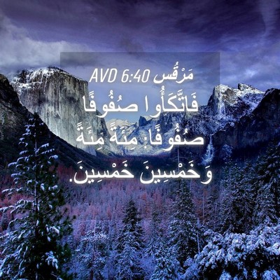 Picture 04 - مَرْقُس 6:40 AVD - فَاتَّكَأُوا صُفُوفًا - Bible Verse Picture