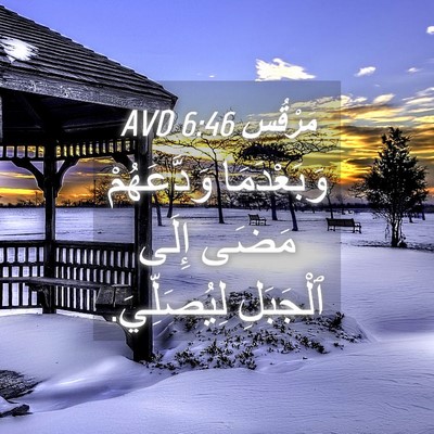 Picture 04 - مَرْقُس 6:46 AVD - وَبَعْدَمَا وَدَّعَهُمْ - Bible Verse Picture