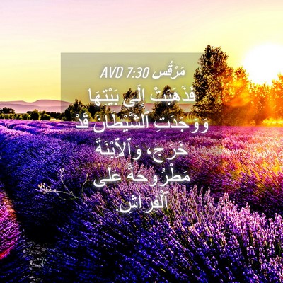 Picture 04 - مَرْقُس 7:30 AVD - فَذَهَبَتْ إِلَى - Bible Verse Picture