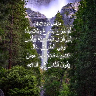 Picture 04 - مَرْقُس 8:27 AVD - ثُمَّ خَرَجَ يَسُوعُ - Bible Verse Picture