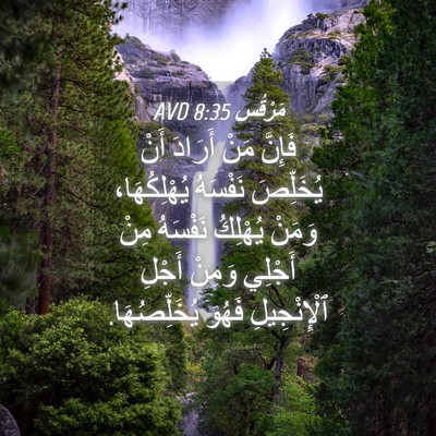 Picture 04 - مَرْقُس 8:35 AVD - فَإِنَّ مَنْ أَرَادَ أَنْ - Bible Verse Picture