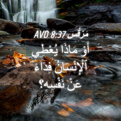 Picture 04 - مَرْقُس 8:37 AVD - أَوْ مَاذَا يُعْطِي - Bible Verse Picture