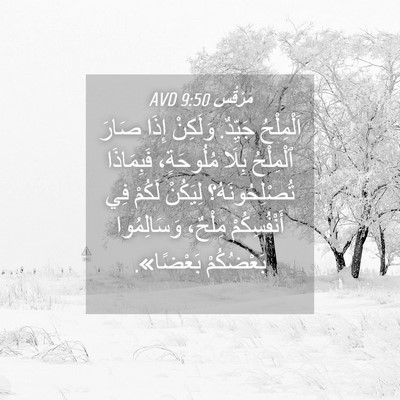 Picture 04 - مَرْقُس 9:50 AVD - اَلْمِلْحُ جَيِّدٌ. - Bible Verse Picture