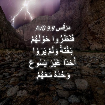 Picture 04 - مَرْقُس 9:8 AVD - فَنَظَرُوا حَوْلَهُمْ - Bible Verse Picture