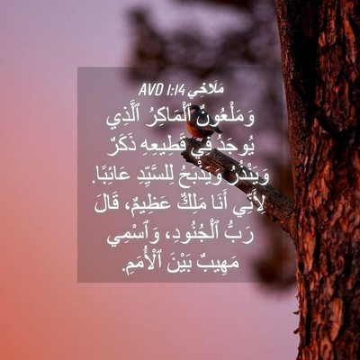 Picture 04 - مَلَاخِي 1:14 AVD - وَمَلْعُونٌ ٱلْمَاكِرُ - Bible Verse Picture