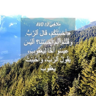 Picture 04 - مَلَاخِي 1:2 AVD - «أَحْبَبْتُكُمْ، قَالَ - Bible Verse Picture