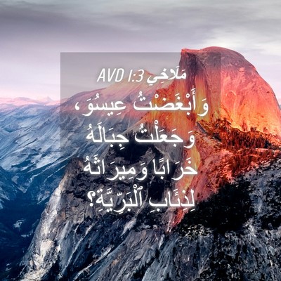 Picture 04 - مَلَاخِي 1:3 AVD - وَأَبْغَضْتُ عِيسُوَ، - Bible Verse Picture