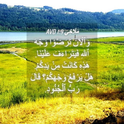 Picture 04 - مَلَاخِي 1:9 AVD - وَٱلْآنَ تَرَضَّوْا - Bible Verse Picture