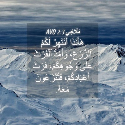 Picture 04 - مَلَاخِي 2:3 AVD - هَأَنَذَا أَنْتَهِرُ - Bible Verse Picture