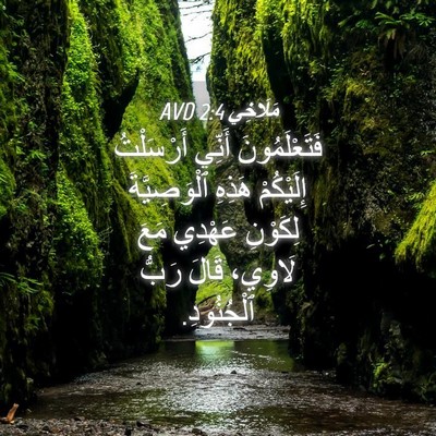 Picture 04 - مَلَاخِي 2:4 AVD - فَتَعْلَمُونَ أَنِّي - Bible Verse Picture