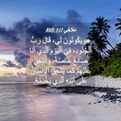 Picture 04 - مَلَاخِي 3:17 AVD - «وَيَكُونُونَ لِي، قَالَ - Bible Verse Picture