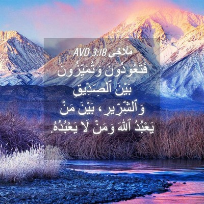 Picture 04 - مَلَاخِي 3:18 AVD - فَتَعُودُونَ - Bible Verse Picture