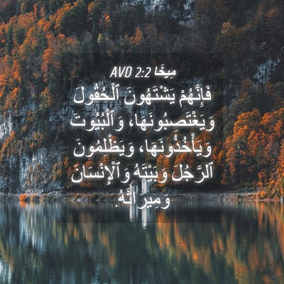Picture 04 - مِيخَا 2:2 AVD - فَإِنَّهُمْ يَشْتَهُونَ - Bible Verse Picture