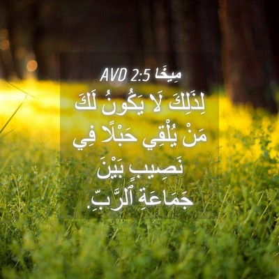 Picture 04 - مِيخَا 2:5 AVD - لِذَلِكَ لَا يَكُونُ لَكَ - Bible Verse Picture