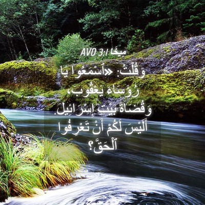 Picture 04 - مِيخَا 3:1 AVD - وَقُلْتُ: «ٱسْمَعُوا يَا - Bible Verse Picture