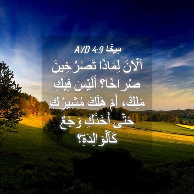 Picture 04 - مِيخَا 4:9 AVD - اَلْآنَ لِمَاذَا - Bible Verse Picture