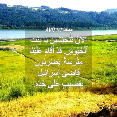 Picture 04 - مِيخَا 5:1 AVD - اَلْآنَ تَتَجَيَّشِينَ - Bible Verse Picture