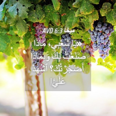 Picture 04 - مِيخَا 6:3 AVD - «يَا شَعْبِي، مَاذَا - Bible Verse Picture