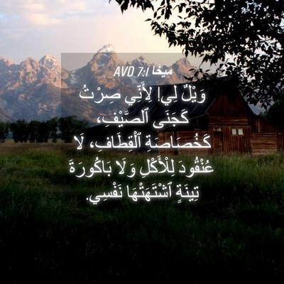 Picture 04 - مِيخَا 7:1 AVD - وَيْلٌ لِي! لِأَنِّي - Bible Verse Picture