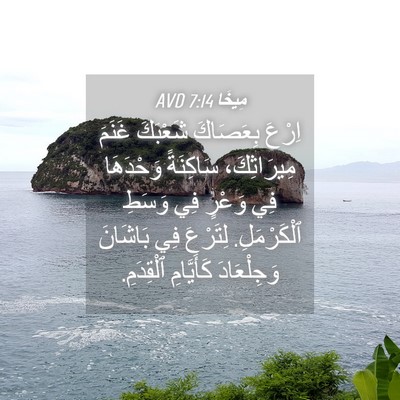 Picture 04 - مِيخَا 7:14 AVD - اِرْعَ بِعَصَاكَ شَعْبَكَ - Bible Verse Picture