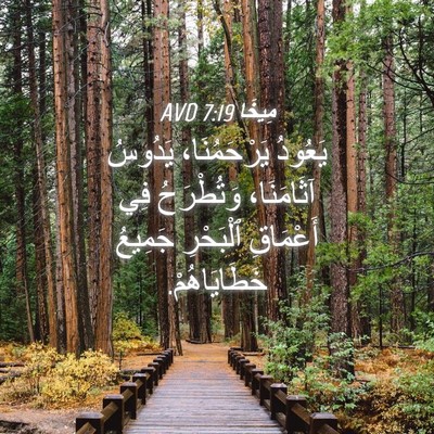 Picture 04 - مِيخَا 7:19 AVD - يَعُودُ يَرْحَمُنَا، - Bible Verse Picture
