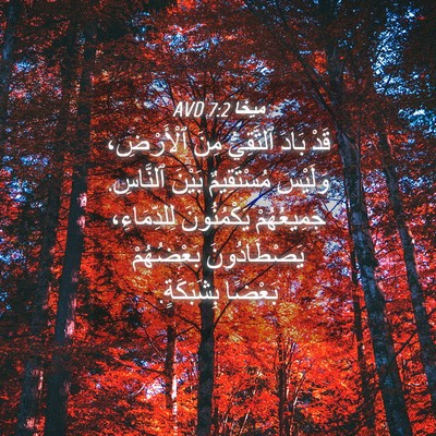 Picture 04 - مِيخَا 7:2 AVD - قَدْ بَادَ ٱلتَّقِيُّ مِنَ - Bible Verse Picture