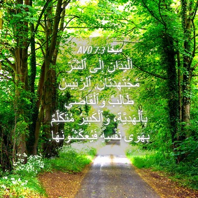 Picture 04 - مِيخَا 7:3 AVD - اَلْيَدَانِ إِلَى - Bible Verse Picture