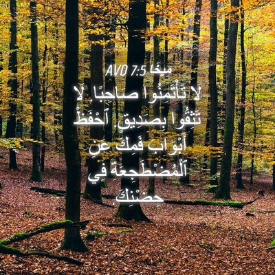 Picture 04 - مِيخَا 7:5 AVD - لَا تَأْتَمِنُوا صَاحِبًا. - Bible Verse Picture
